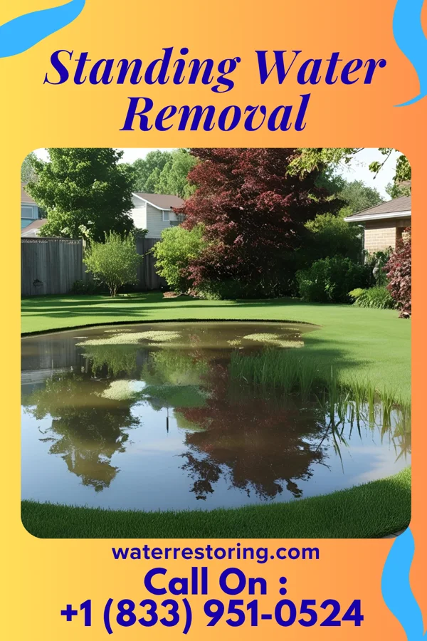 Standing Water Removal in Plattsburg, MO